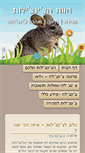Mobile Screenshot of chinchilot.com